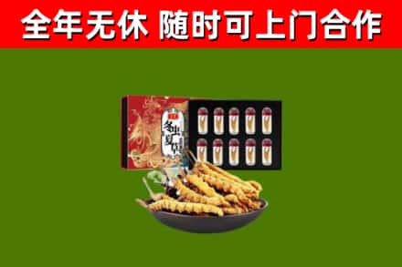 四川省回收冬虫夏草价格