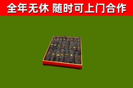 四川省回收海参